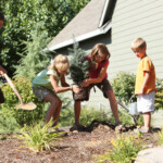 Pool Pumps Ameren Illinois