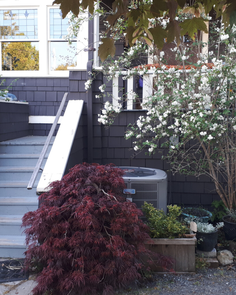 City Of Vancouver Offers Home Energy Navigator