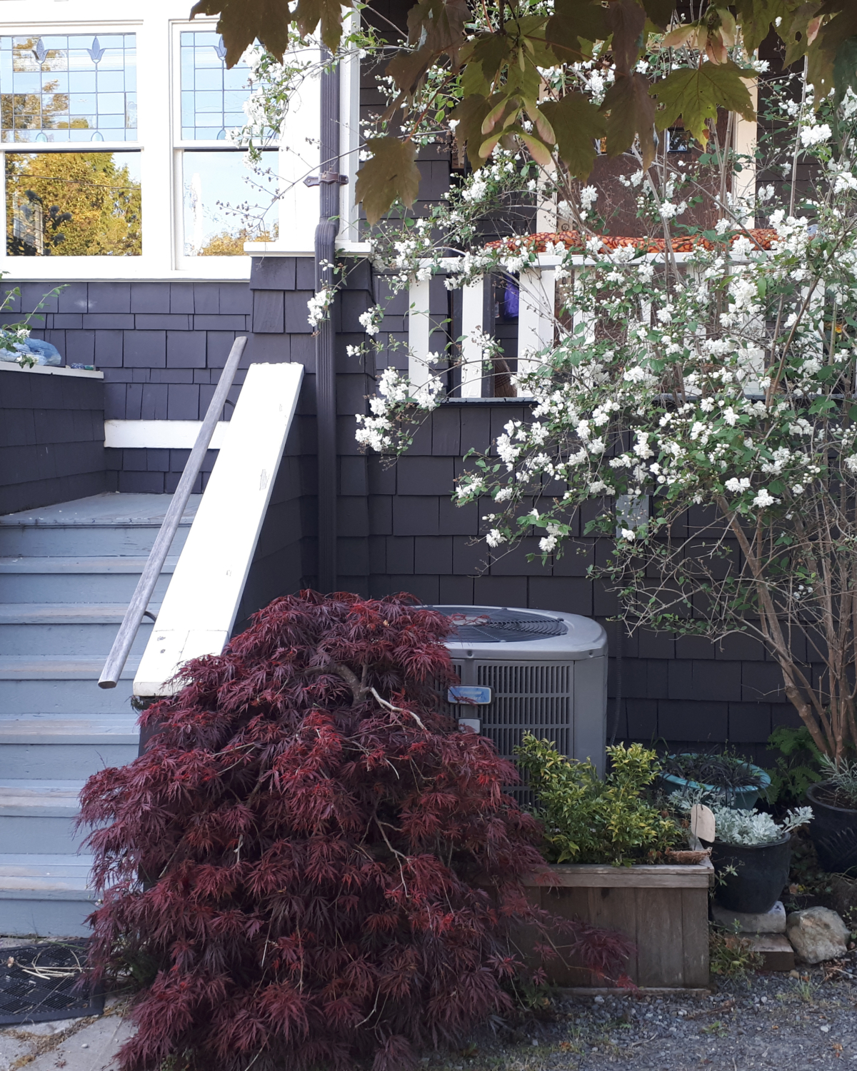 City Of Vancouver Offers Home Energy Navigator